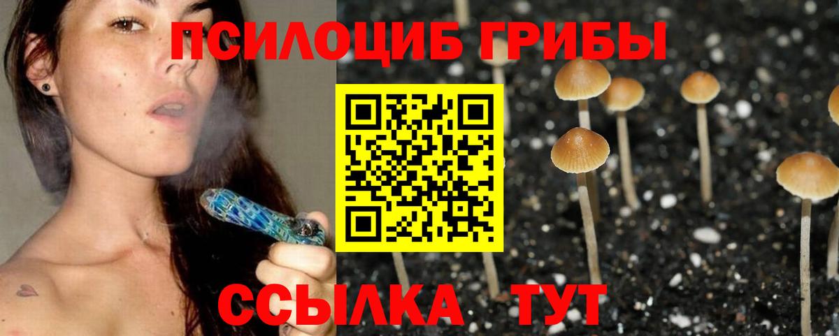 Галлюциногенные грибы мицелий  Вход с VPN  Наро-Фоминск 